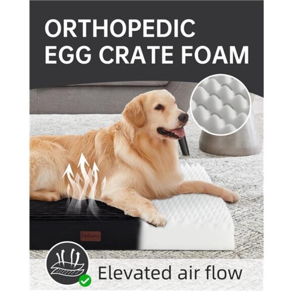 Black Orthopedic Dog Bed for Large Dogs with Non-Slip Bottom 41"L x 28"W x 4"H - Picture 3 of 7
